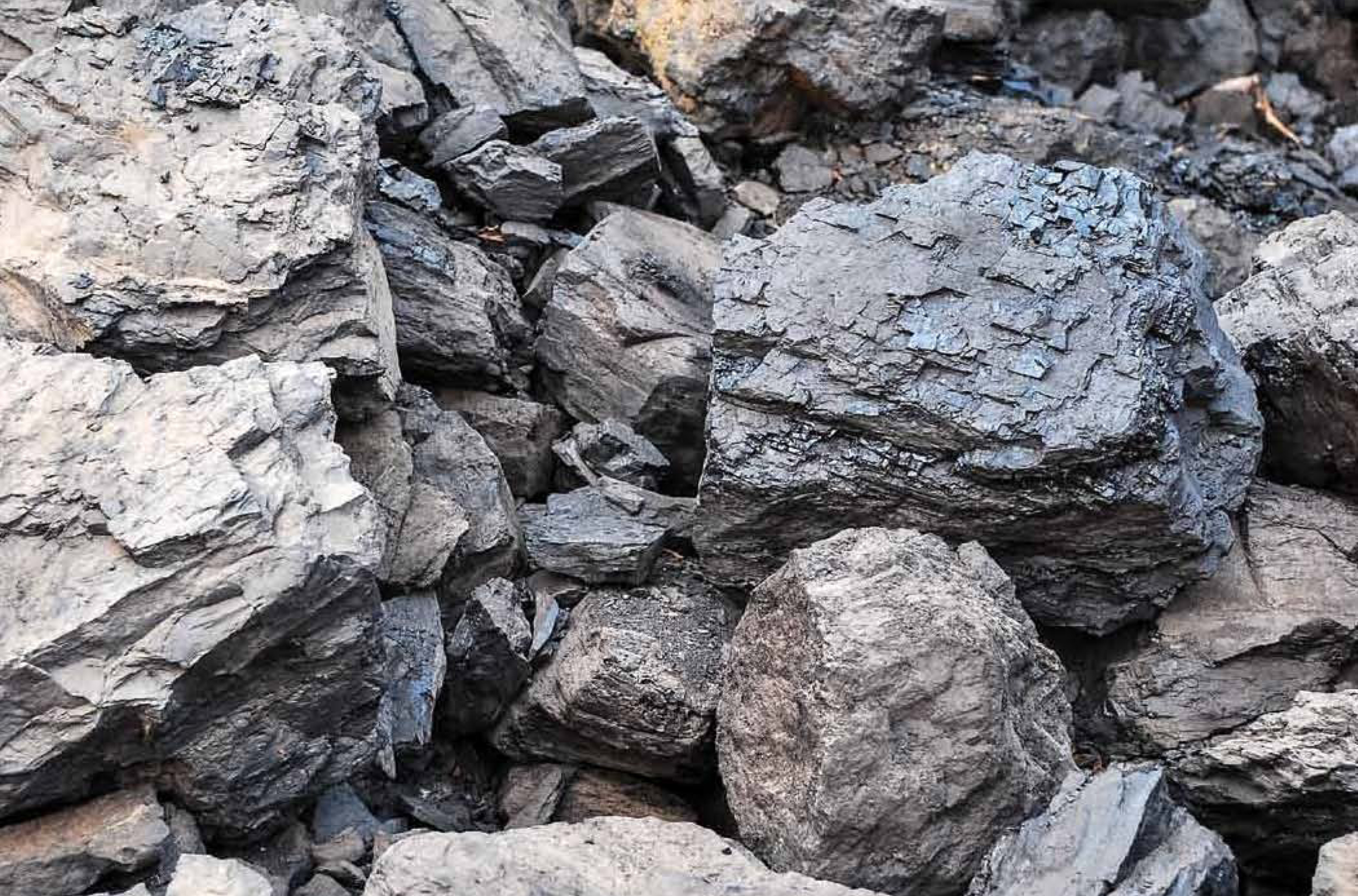 Coal Auction in India